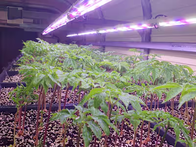 Smart Module Công Nghệ Nông Nghiệp