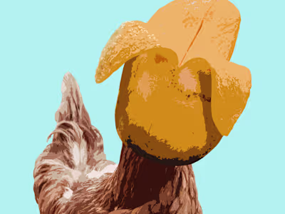 Book Cover and Interior Illustrations - A Unique Blend of Styles