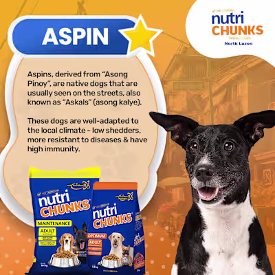 Aspin 