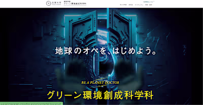 Webflow  Developer