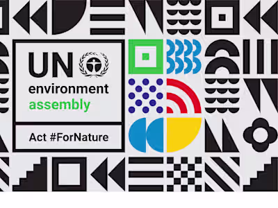United Nations Environment Assembly Brand Identity Design
