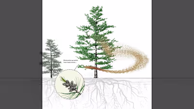 Bayard Cutting Arboretum Tree Science Loop