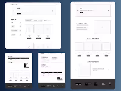 Purelife Labs  (E-commerce UX Audit and Wireframes)