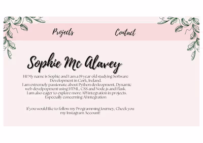 Portfolio Website Design