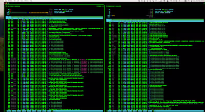 Linux Server Administrator