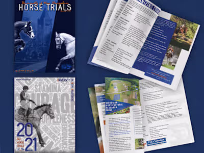 Editorial Design