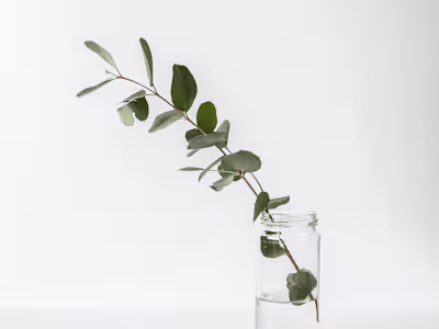 Brand Identity for Holistic Studio
