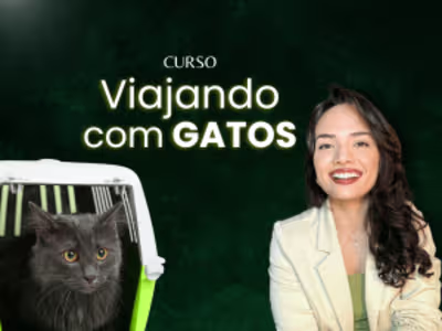 Website for selling online course.