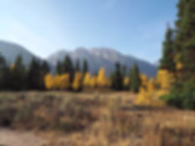 Home | Molly MacDonald