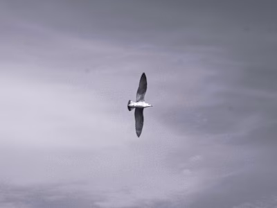 The Core of Khouribga 