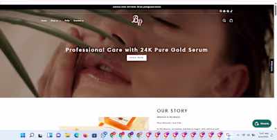 Shopify Dropshipping Store Design/Redesign