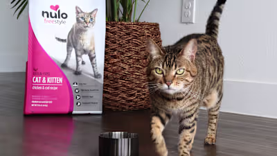 Nulo Pet Food Ad Design 