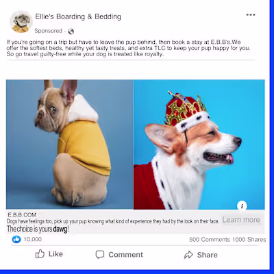 FaceBook Ads  