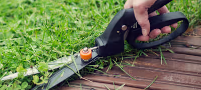 Uploaded and optimised this blog