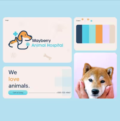 Mayberry Animal Hospital [Concept]