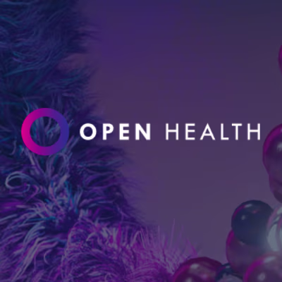 Open Health’s website user research and information analysis