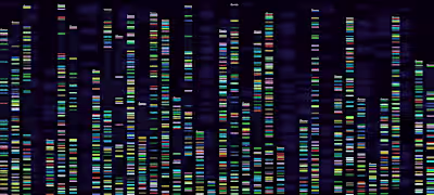 Bioinformatics Tools Every Lab Should Use