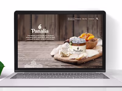 WEB DESIGN / PANALIA