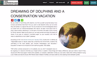 IS Foundation: Ecotourism 