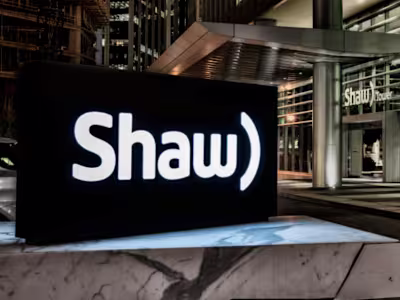 Senior Project Manager / Program Consultant