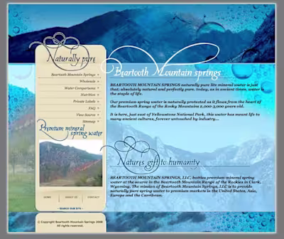 Website Design