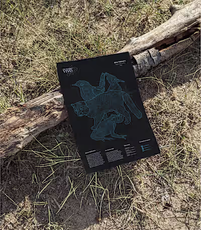 Un Tesoro Vivo | Campaign 