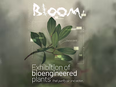 Bloom — Exhibition Visual Identity