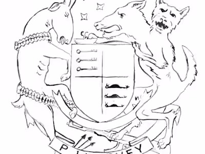 The Hope Six Demolition Project