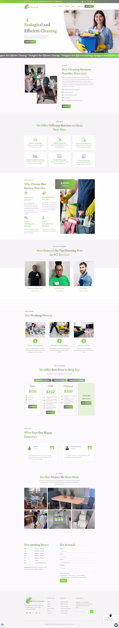 Cleaning Website Designs