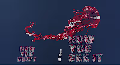 Book ‘Now You See It‘