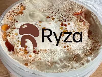 Social Media Content Enhancement for Ryza