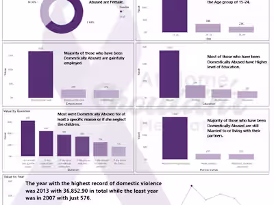 Domestic Violence Report 