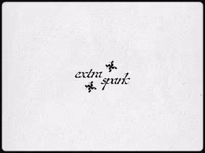 Extra Spark Logo Design
