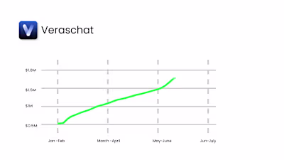 Web Application Promotional Video"Veraschat"