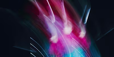 Center of the Universe: Transforming Narcissism