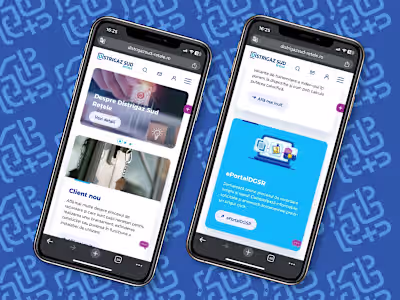 Distrigaz – UI Design for a National Gas Distribution Platform