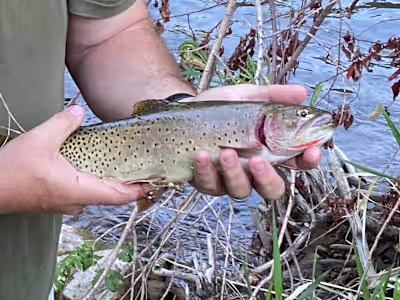 Outdoor Writing and Blog 