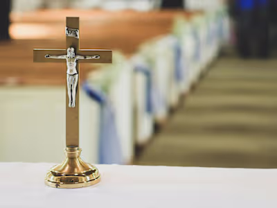 NGO non-profitable organization