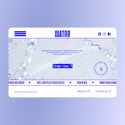Website Designs
