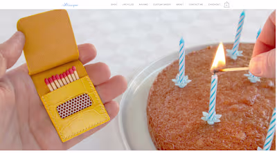 WordPress Custom Theme Development for Striiiipes