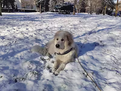 Text exploration with Hugging Face AI models