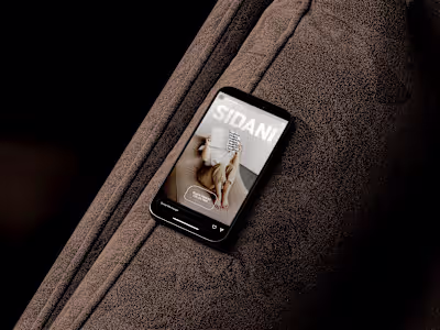 Brand Repositioning for SIDANI