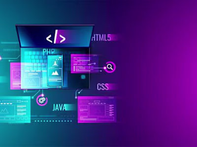 Word Press Developer