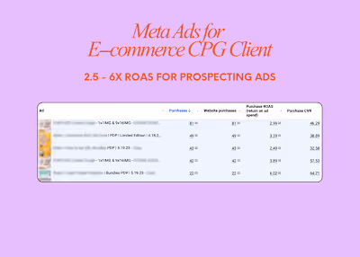 Meta Ads for CPG E-commerce Brand