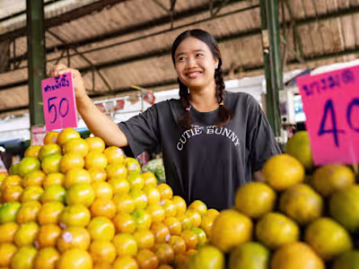 I created some articles for a client who was working on a ne...