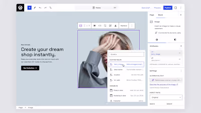 WordPress 6.6