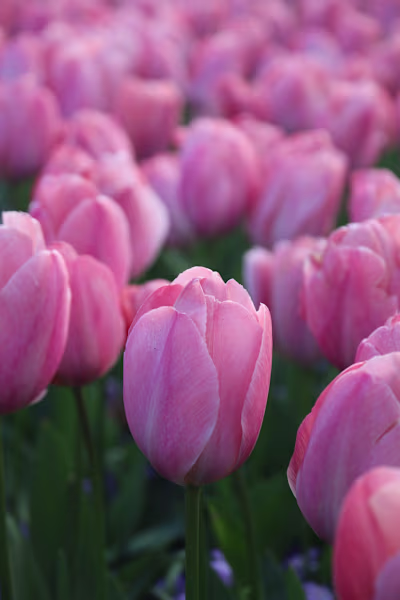 Finding Strength in Personal Connections