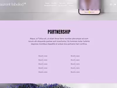 ✦ WEBDESIGN ✦