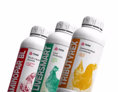 Parkes Poultry Oral Solutions | Packaging Design