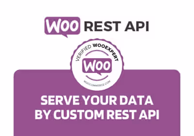 Professional API integration service for woocommrce